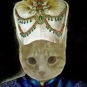 Кошка султана