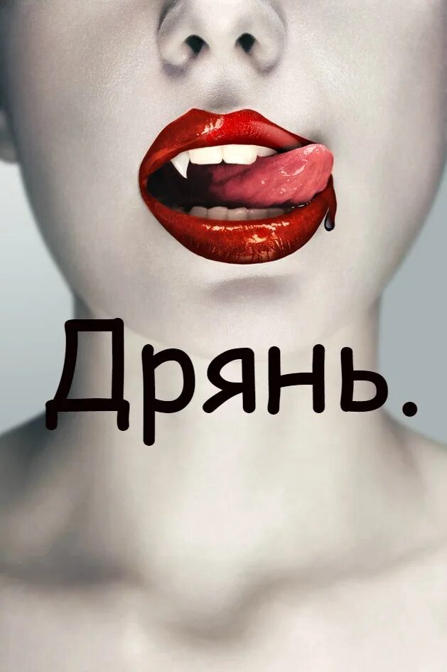 Дрянь видео. Маленькая дрянь. дрянь картинки. дрянь прикол. всякая дрянь картинки.