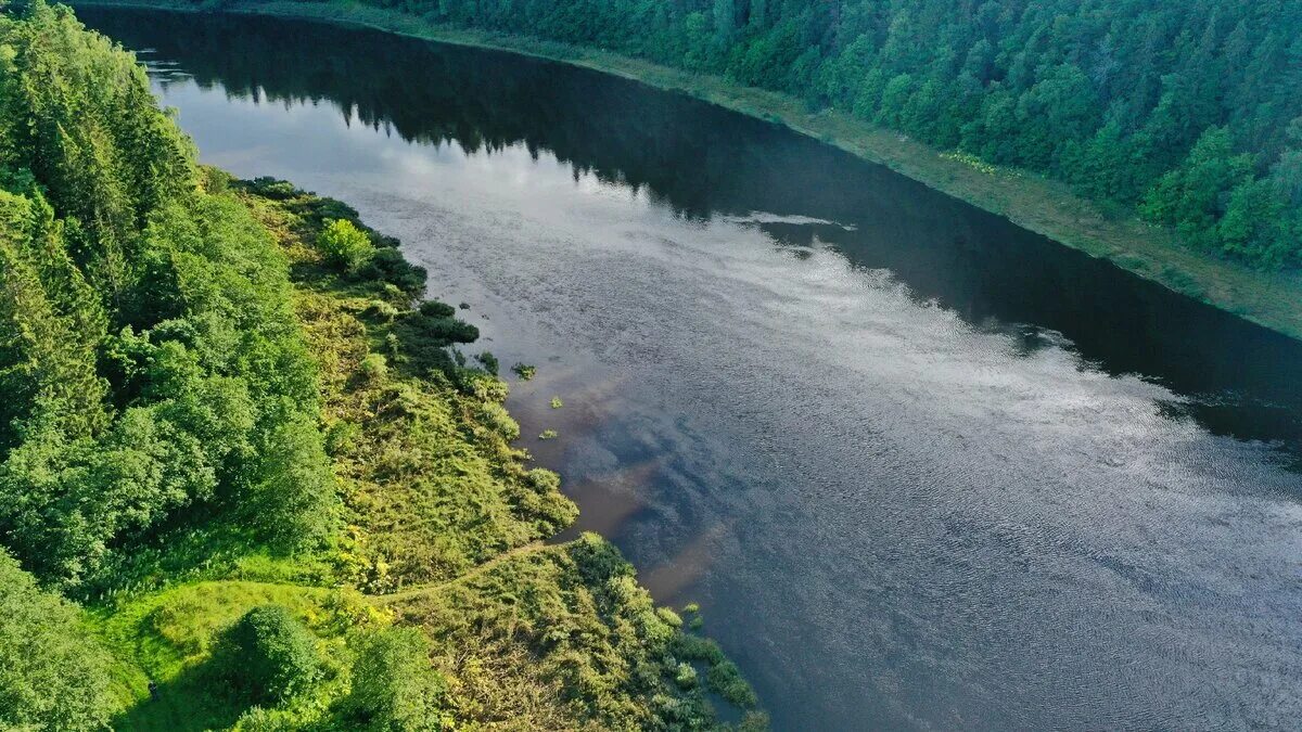 Полноводной реки страны. Волга полноводная река в Звенигово. Полноводная река Шача Фурманов. В течении реки. Равнинная река.