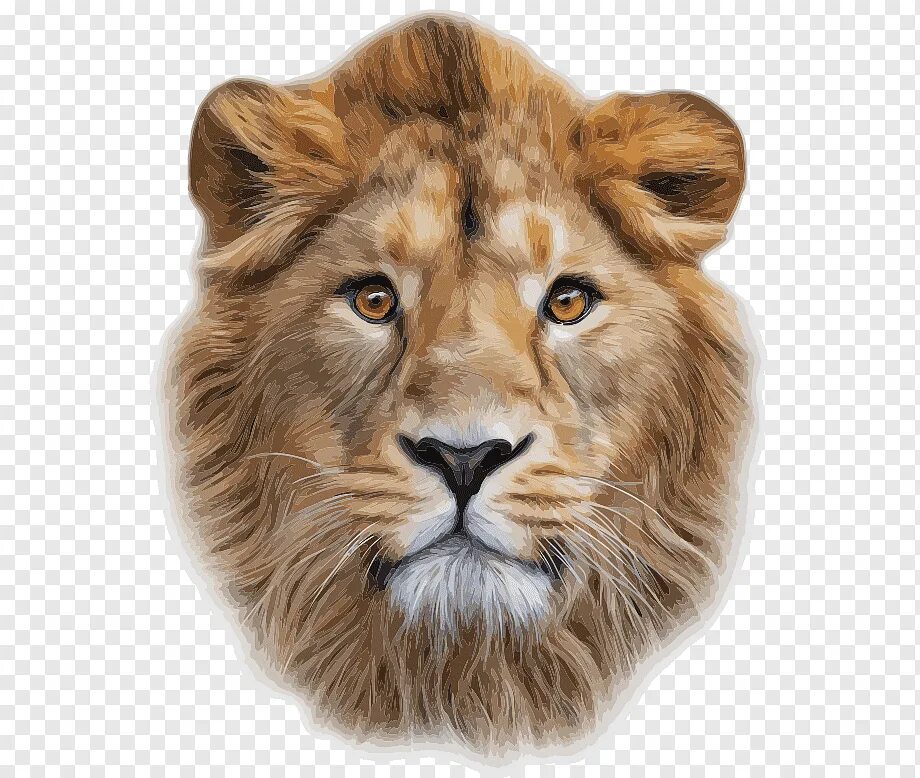 Стилизованная голова льва. Лев с короной. Голова льва. Лев голов. Морда льва.