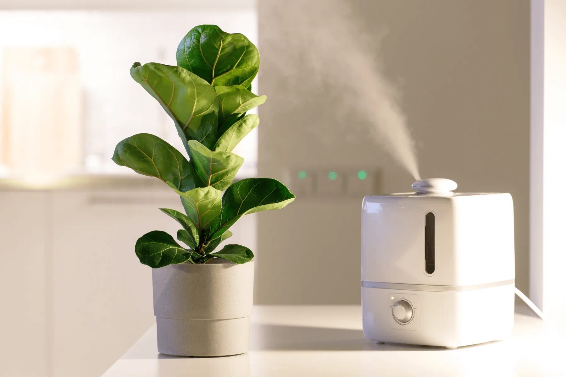 Увлажнитель воздуха Home Humidifier. Увлажнитель воздуха 2022. Увлажнитель воздуха Humidifier 021. Увлажнитель воздуха для квартиры 2021. Увлажнение воздуха водой