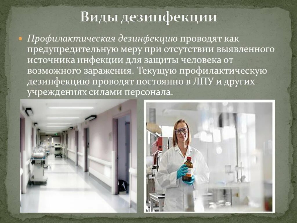 Как часто нужно проводить дезинфекцию