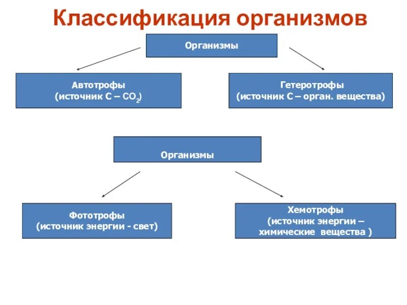 Новая систематика. Общая классификация живых организмов. Биология классификация организмов. Схема классификации организмов. Класификация живых организмах.