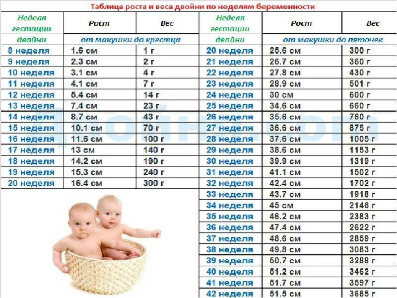 Сколько набирает ребенок в утробе