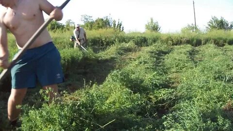 Косим видео