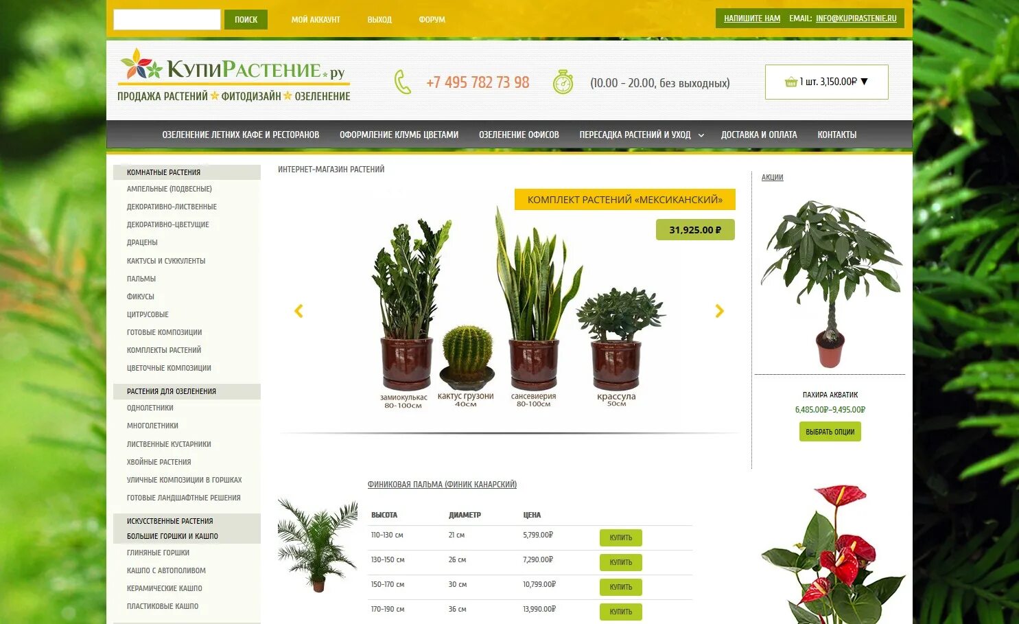Интернет магазин растений. Каталог растений. Плантомания интернет магазин растения. Лафа интернет магазин растений.