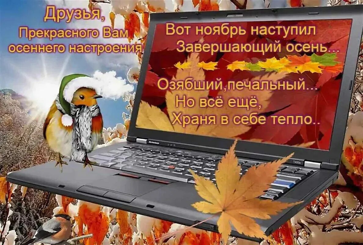 Доброе 1 ноября. Открытки вот и ноябрь пришел. с последним днем осени. вот и ноябрь наступил доброе утро. поздравление с ноябрем.