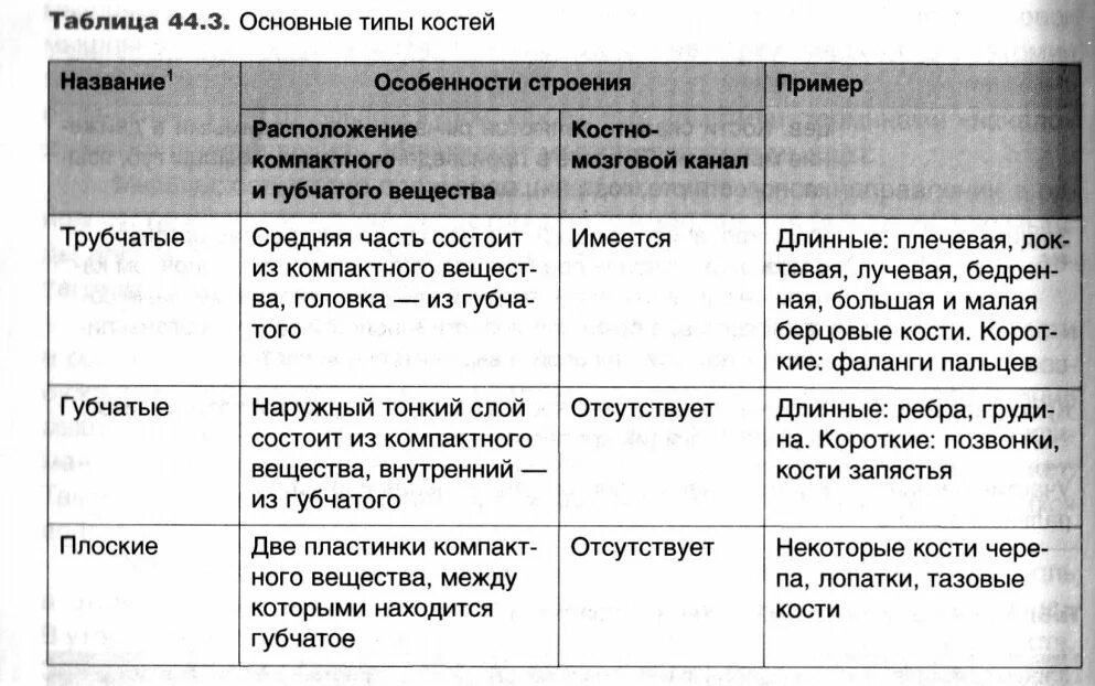 Типы костей строение примеры костей таблица. Таблица Тип костей особенности строения костей примеры костей. Таблица строение кости биология 8 класс. Строение кости,виды соединения костей. Отдел скелета особенности строения функции