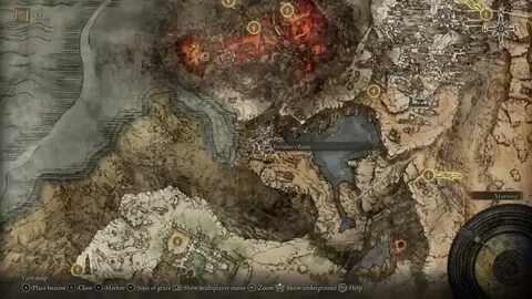 Elden ring любитель креветок