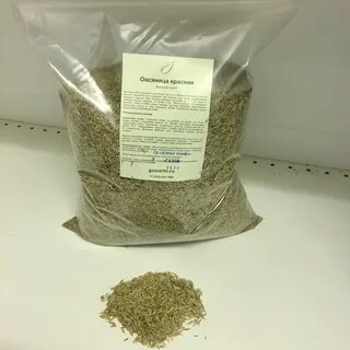 Семена овсяница красная