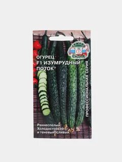 Сорта огурцов изумрудный поток