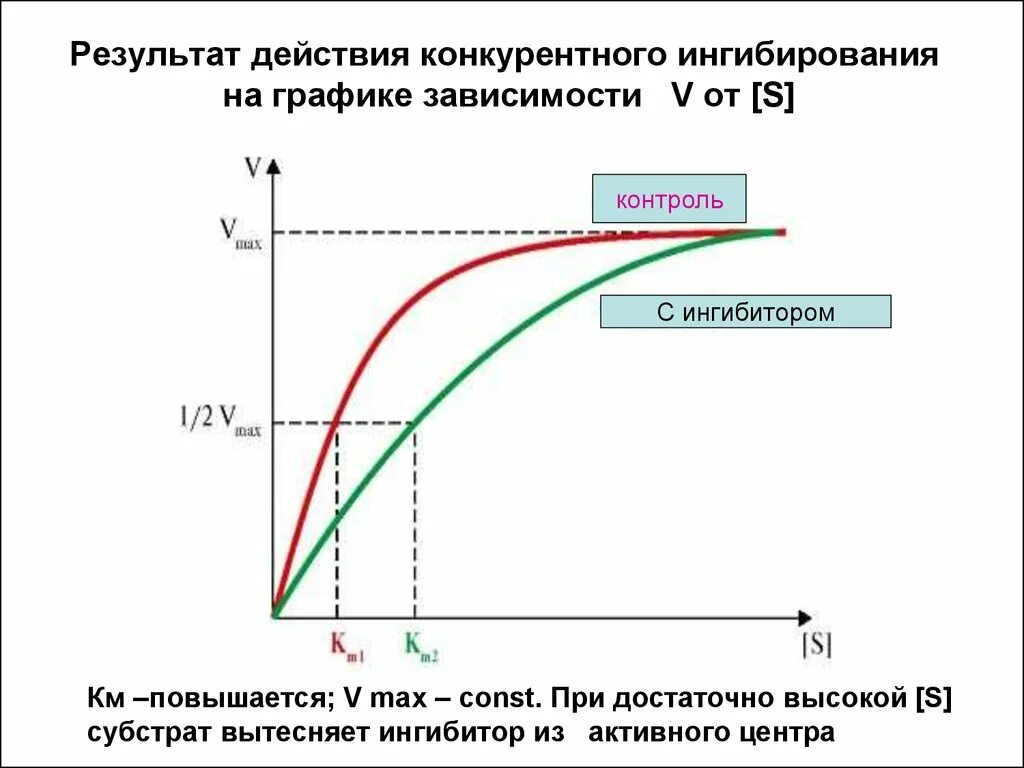 Ингибирование ферментативной реакции. График конкурентное ингибиторы ферментов. конкурентное ингибирование ферментов график. графики конкурентных и неконкурентных ингибиторов. конкурентное ингибирование график михаэлиса.