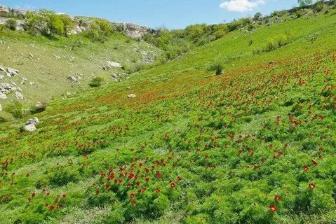 Красная балка