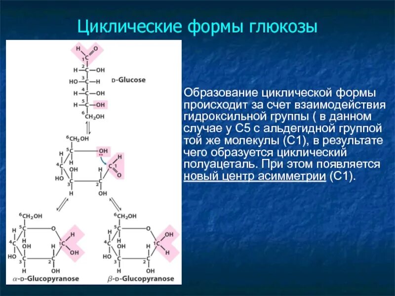 Фруктоза гидроксильная группа. Глюкоза образование циклической формы д. Реакция циклизации Глюкозы. Циклическая форма Глюкозы. Образование циклических форм Глюкозы происходит при взаимодействии.