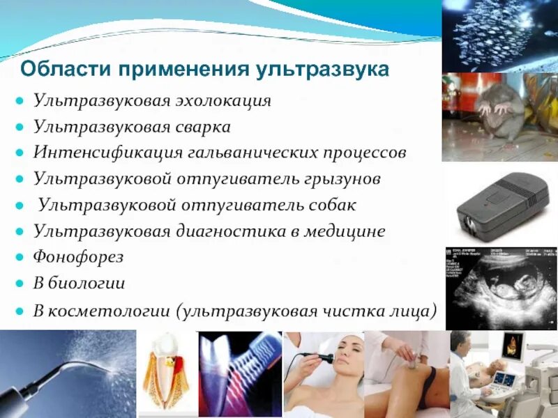 Ультразвук в быту. Применение ультразвука. области применения ультразвука. где применяется ультразвук. ультразвуковая эхолокация в медицине.