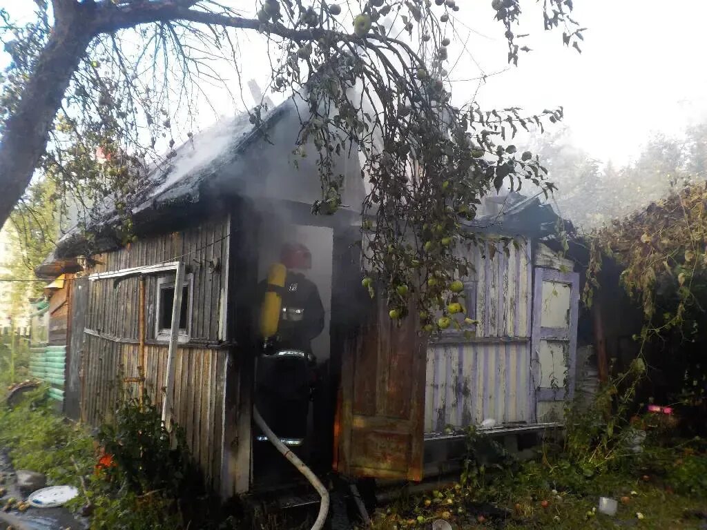 Дуб, дубовый, желудь, дубок. Ст дубок. Природный рекреационный комплекс дубковский лес. Ст дубок. Ст дубок.