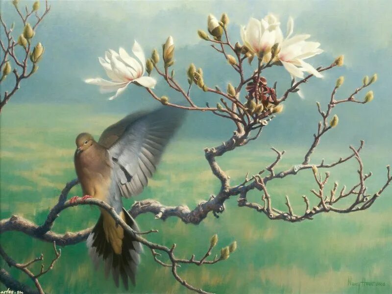 Произведение пробуждение. Художник Nancy Howe. Птицы весной живопись. Картины с птицами известных художников.