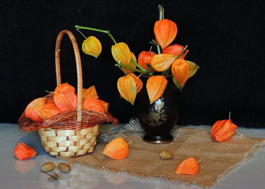 натюрморт с физалисом. натюрморт лунария и физалис. натюрморт с физалисом. ваза с физалисом. физалис пименов.