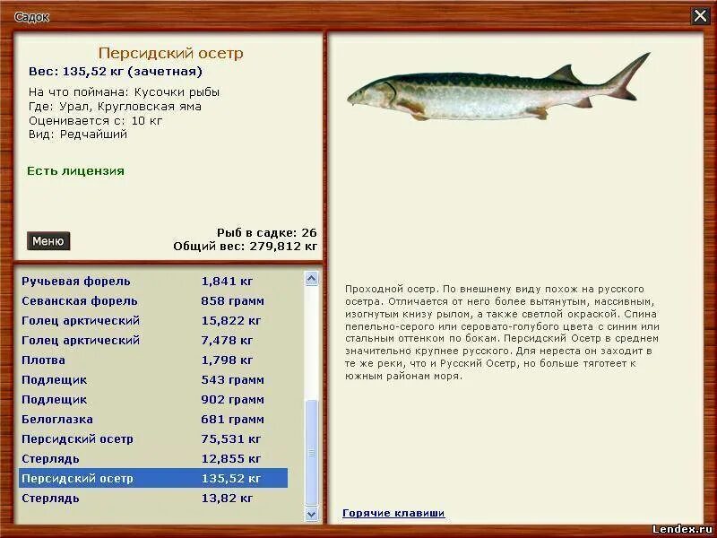 Речная рыба без костей список. Рыба белого моря список. Пресноводные рыбы. Рыба названия список. Морская рыба названия.