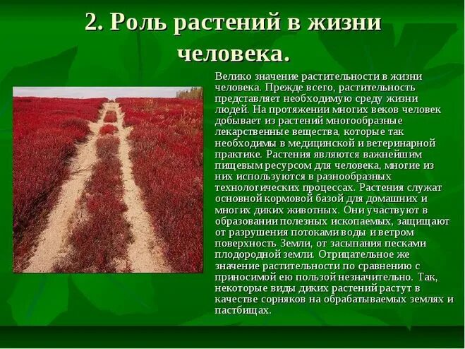 Проект роль человека в истории города В школах прошли занятия "Россия мои горизонты", посвященные Дню российской нау