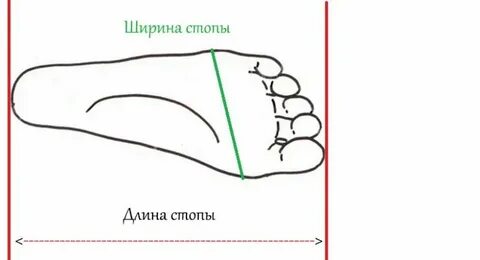 Как по размеру ноги определить сколько см