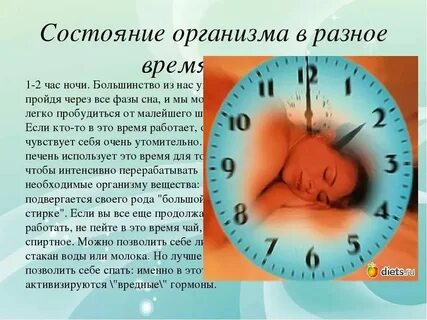 Спал два часа в сутки