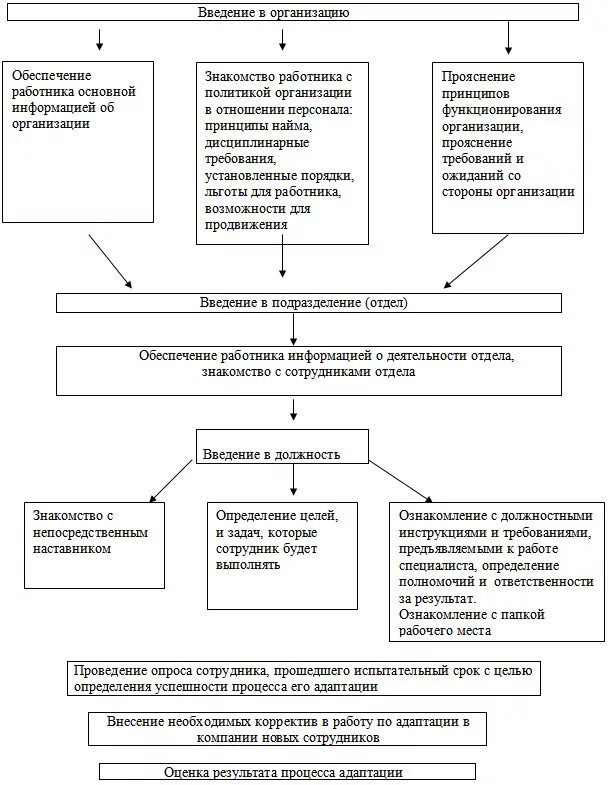 Процедура адаптации. Схема процесса адаптации. Адаптация сотрудников в организации схема. Схема адаптации персонала. Схема адаптации работников на предприятии.