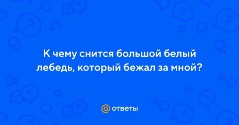 К чему снится большая белая птица