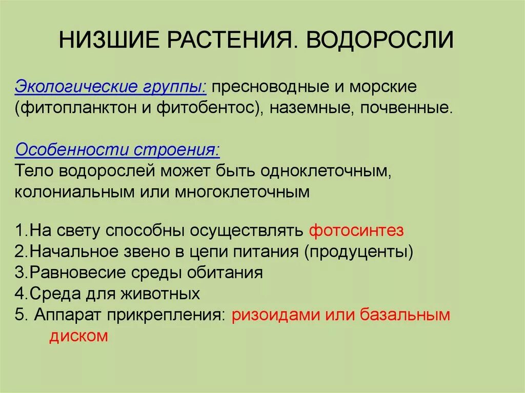 Особенности растения водоросли. Низшие растения. Экологические группы водорослей. Особенности низших растений. Характеристика низших растений.