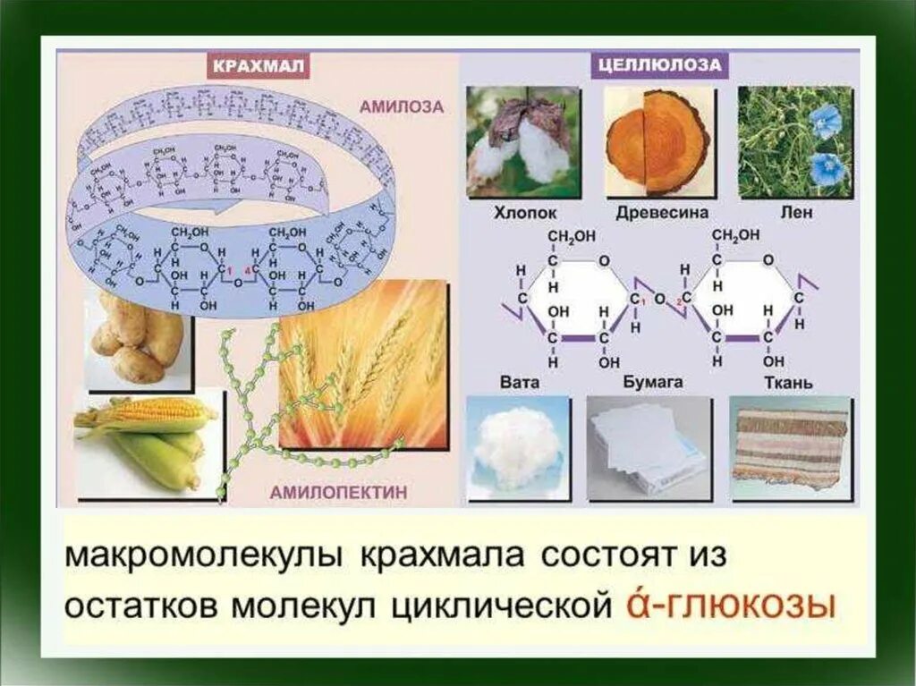 Презентация крахмал и целлюлоза как природные полимеры. Природные высокомолекулярные соединения (полимеры). Высокомолекулярное соединение из целлюлозы. Высокомолекулярные соединения полимеры. Полимеры это высокомолекулярные вещества.