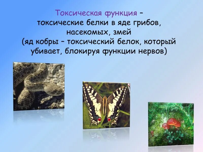 токсины функция белков