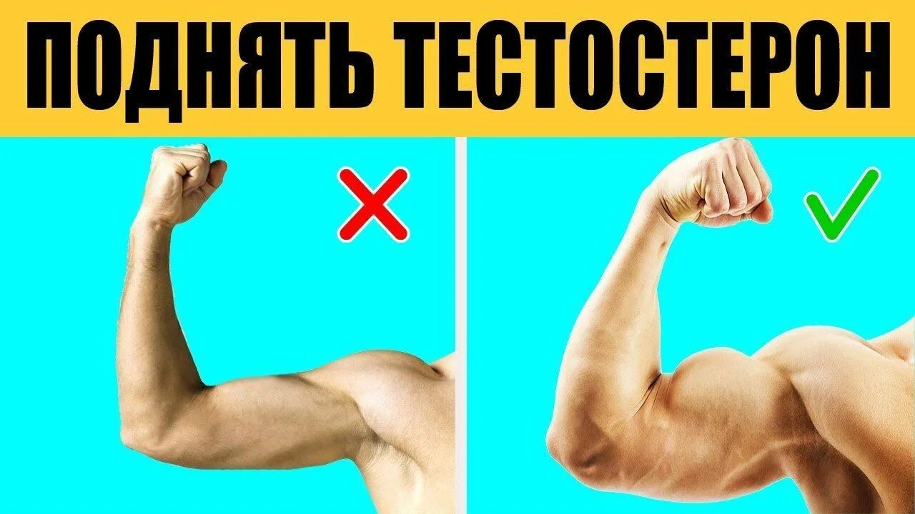 Повышение тестостерона. Что повышает тестостерон. Способы поднять тестостерон. Упражнения для повышения тестостерона.