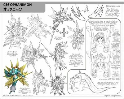 Angewomon evolution tree