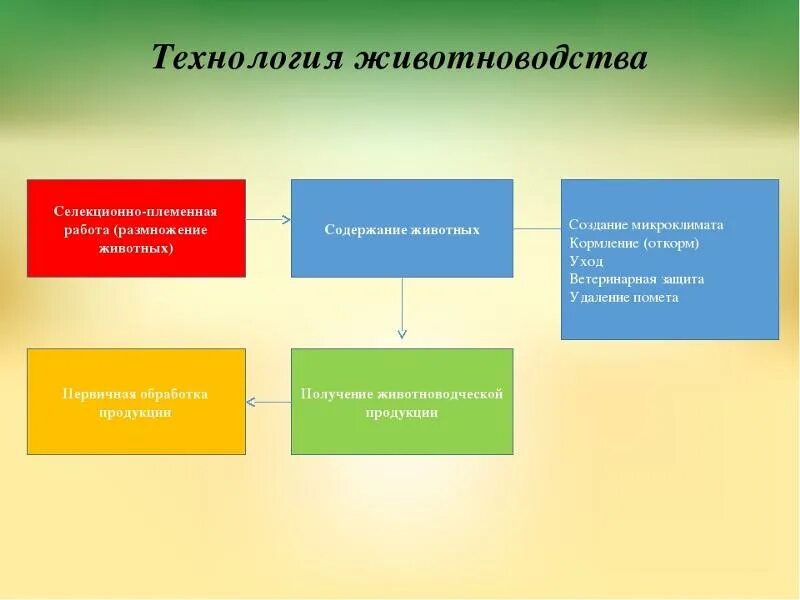 Содержание животных кратко