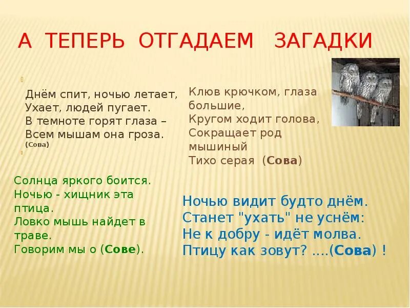 Загадки отгадывать загадки. Загадка про день и ночь. Загадки нет. 6 букв можно спать готовить