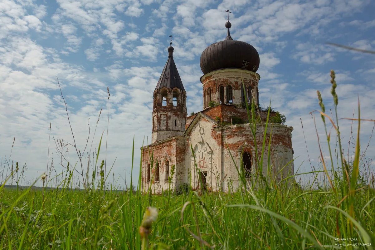погода поселок царево