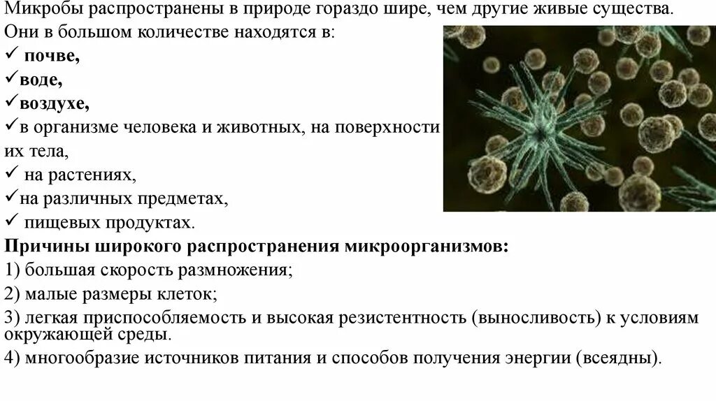 Условия распространения болезнетворных бактерий. Распространение микроорганизмов в природе микробиология. Распространение микроорганизмов в окружающей среде вода. Распространение микроорганизмов в окружающей среде кратко. Распространение микробов в природе микрофлора почвы.