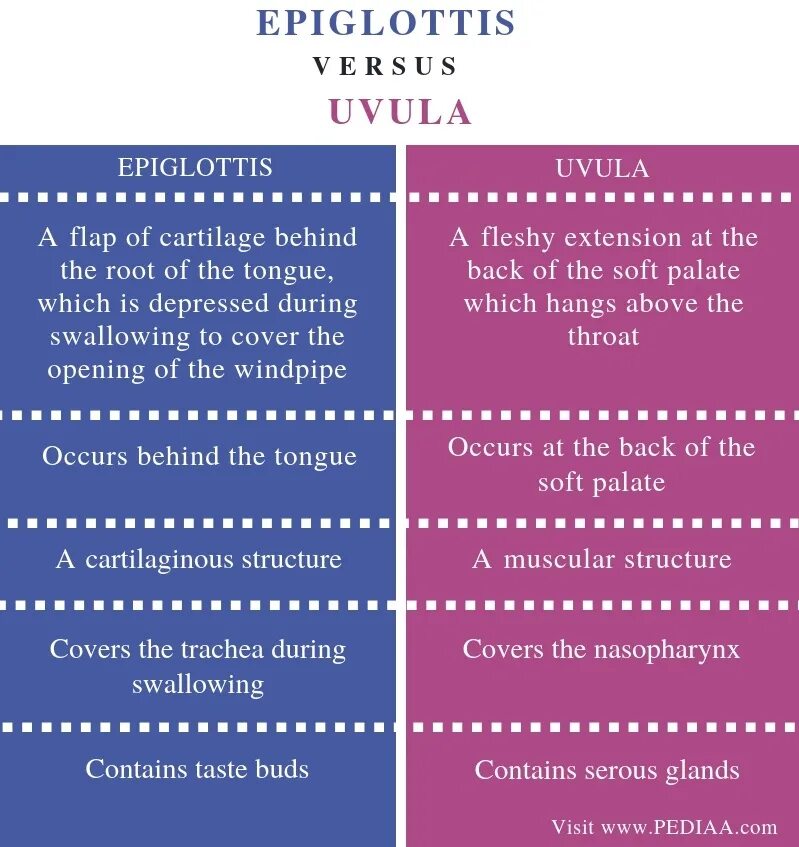 Between definition. Sentences and utterances. non sentence utterances пример. difference between sentence and utterance. sentence and non sentence utterances.