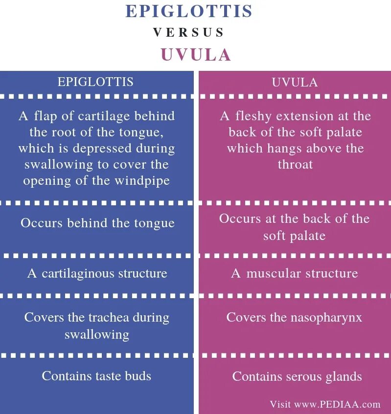 Sentences and utterances. Non sentence utterances пример. Difference between sentence and utterance. Sentence and non sentence utterances.