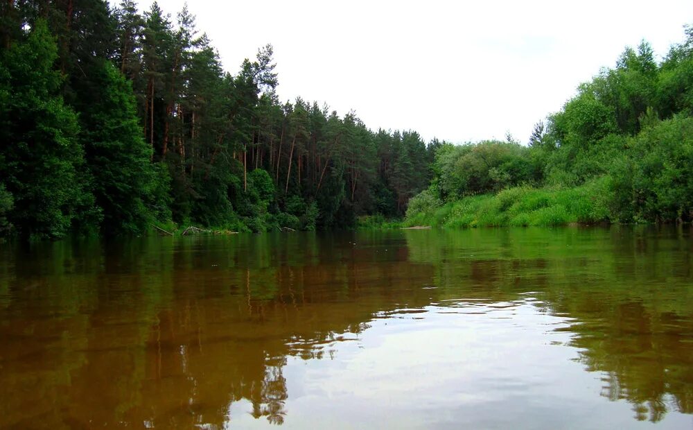 Курцево нижегородская область речка узола. Сыроварня деревня курцево нижегородская область. Курцево нижегородская. Курцево нижегородская область сыроварня. Курцево нижегородская.