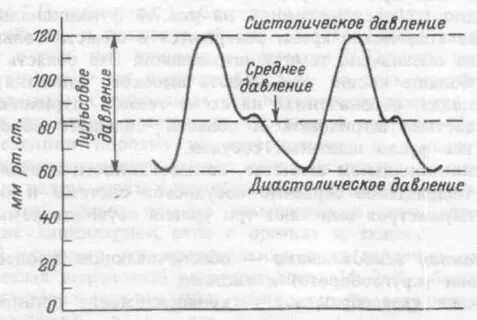 Уровень показателя систолического давления