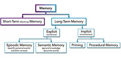 Short memory. Implicit Memory. Short term Memory. Long term Memory. What is Memory.