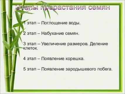 Измерение комнатных растений биология 5