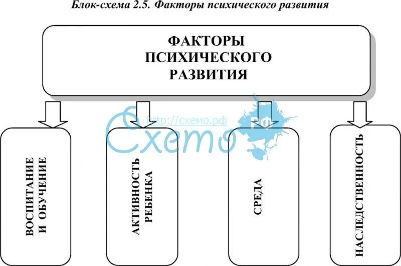 Факторы нормального развития. Факторы психического развития схема. Факторы развития психики. Факторы влияющие на развитие психики. Факторы влияющие на развитие психических процессов.