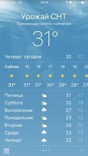 Погода на след неделю