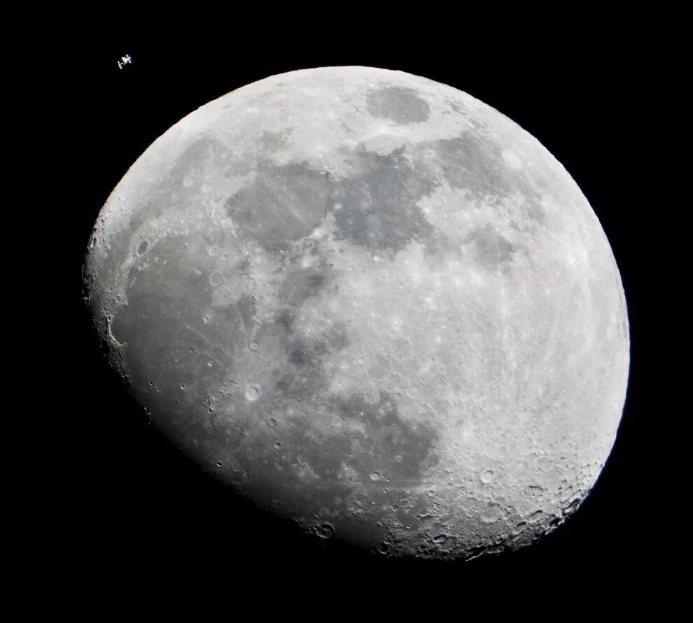 Какие животные облетели луну. Луна. Светлая Луна. Полная Луна. Фото Луны.