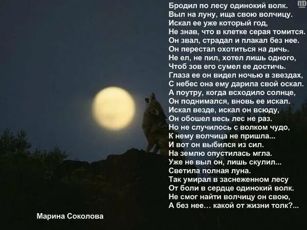 Дятлов я сам себе луна. Стихи про луну. Стих про одинокую луну. Волк и Луна стихи. CNB[ J Keyt.