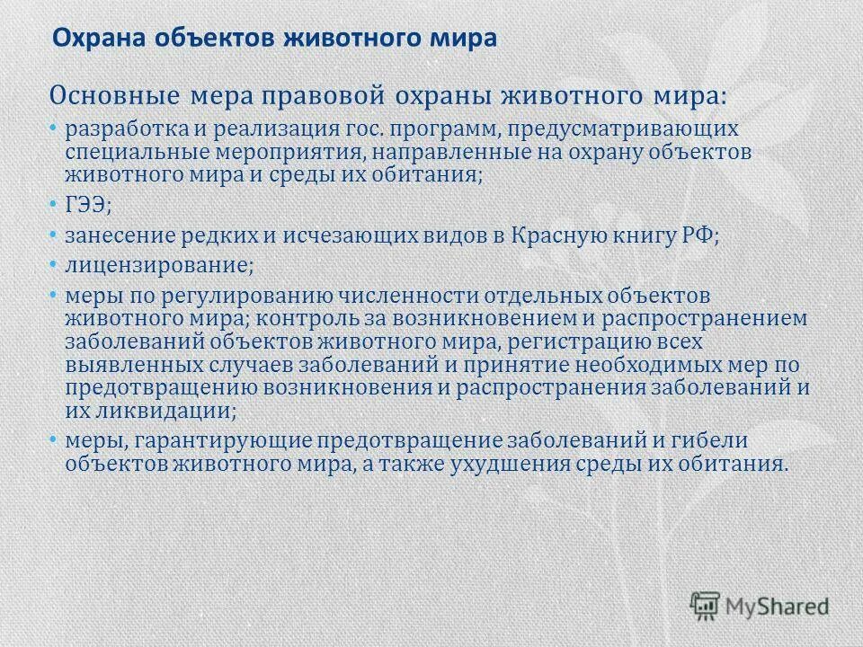 Положение охрану объекта. Положение охрану объекта