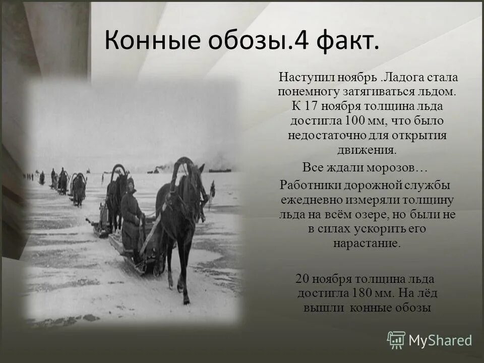 Служит в обозе. Лошади- участники войны. Курнаков андрей ильич художник. Служит в обозе. Обоз с продовольствием.