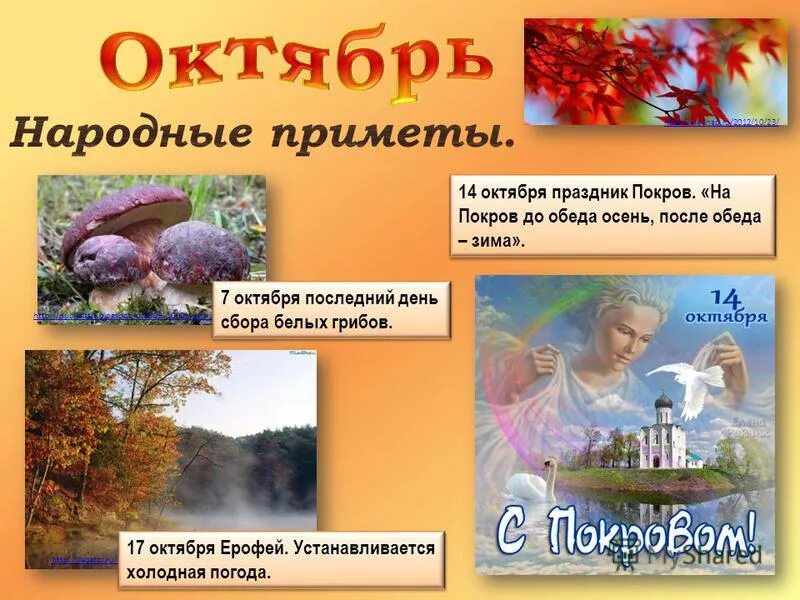 Праздник сентябрь октябрь. Народные приметы октября. осенние праздники народного календаря. народный календарь осень. приметы осени.